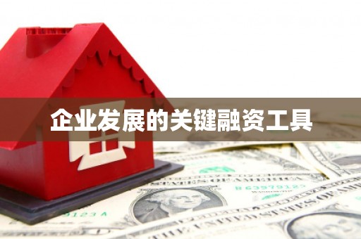 迪庆企业发展的关键融资工具