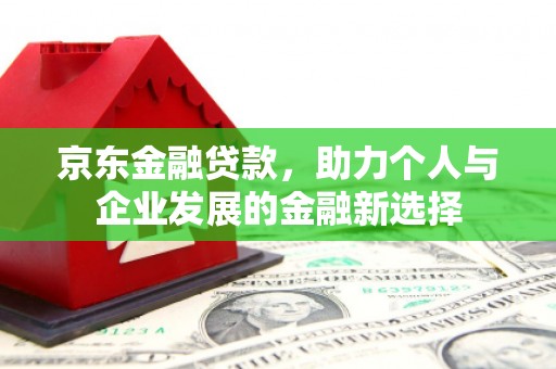 迪庆京东金融贷款，助力个人与企业发展的金融新选择