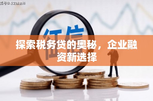 迪庆探索税务贷的奥秘，企业融资新选择