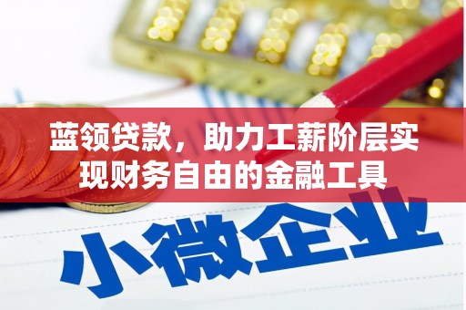 迪庆蓝领贷款，助力工薪阶层实现财务自由的金融工具