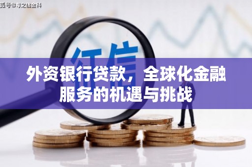 迪庆外资银行贷款，全球化金融服务的机遇与挑战