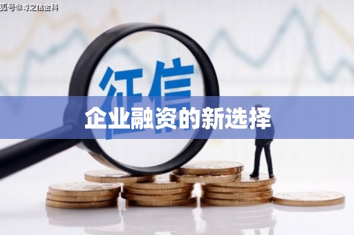 迪庆企业融资的新选择