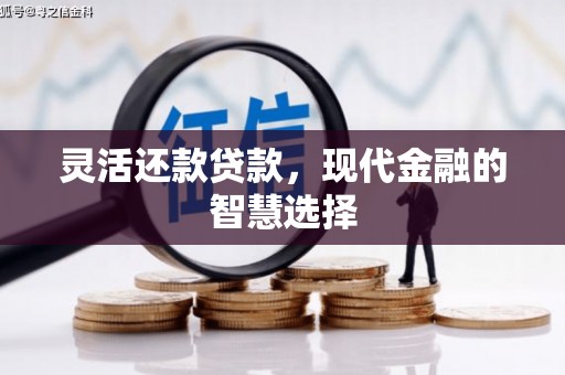 迪庆灵活还款贷款，现代金融的智慧选择