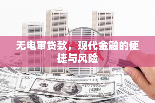 迪庆无电审贷款，现代金融的便捷与风险