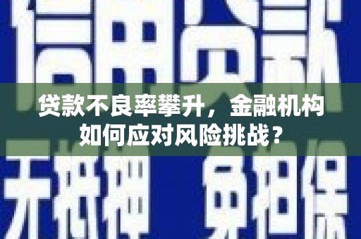 迪庆贷款不良率攀升，金融机构如何应对风险挑战？