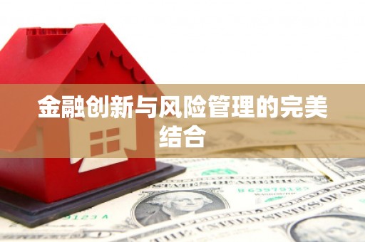 迪庆金融创新与风险管理的完美结合