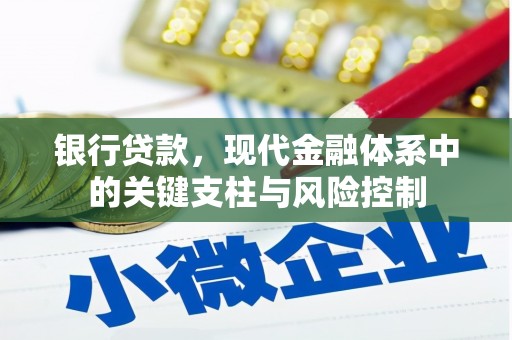 迪庆银行贷款，现代金融体系中的关键支柱与风险控制