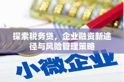 迪庆探索税务贷，企业融资新途径与风险管理策略