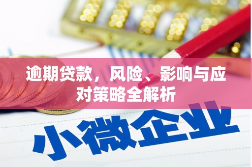 迪庆逾期贷款，风险、影响与应对策略全解析