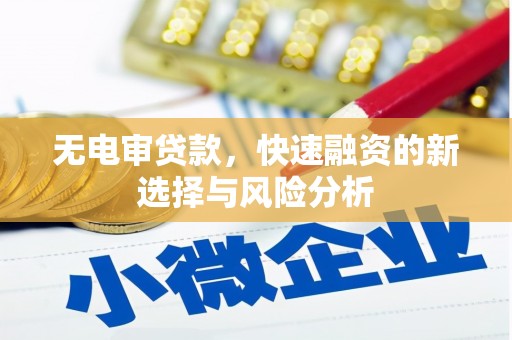 迪庆无电审贷款，快速融资的新选择与风险分析