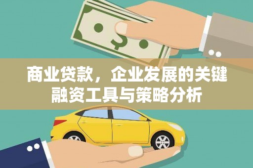 迪庆商业贷款，企业发展的关键融资工具与策略分析