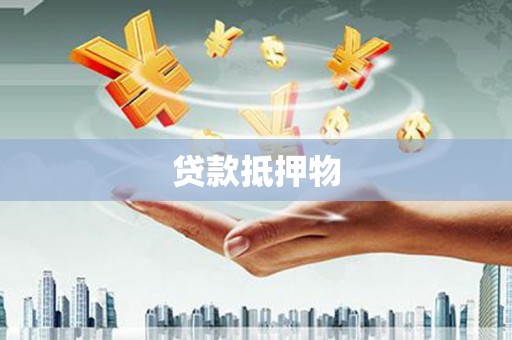 迪庆贷款抵押物