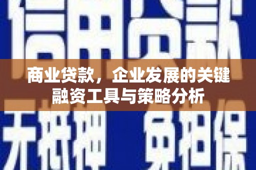 迪庆商业贷款，企业发展的关键融资工具与策略分析