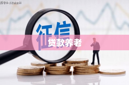 迪庆贷款养老