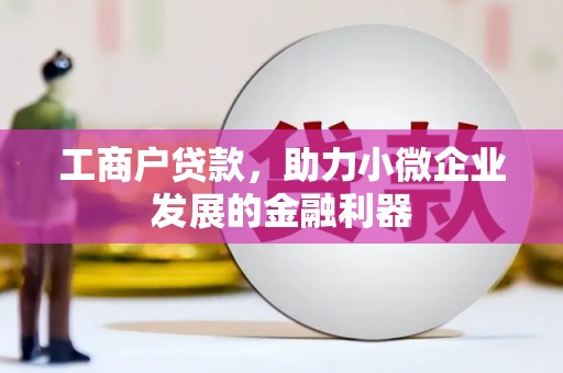 迪庆工商户贷款，助力小微企业发展的金融利器