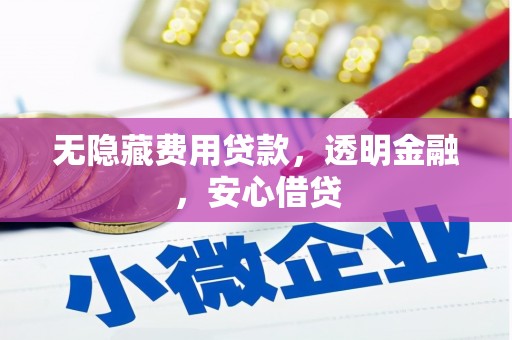 迪庆无隐藏费用贷款，透明金融，安心借贷