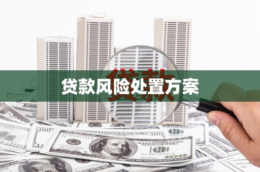 迪庆贷款风险处置方案