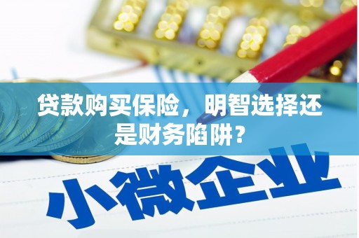 迪庆贷款购买保险，明智选择还是财务陷阱？