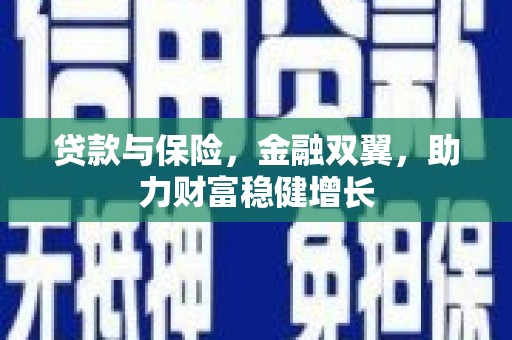 迪庆贷款与保险，金融双翼，助力财富稳健增长