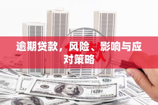 迪庆逾期贷款，风险、影响与应对策略