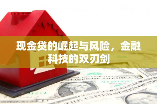 迪庆现金贷的崛起与风险，金融科技的双刃剑