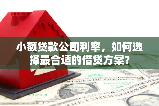迪庆小额贷款公司利率，如何选择最合适的借贷方案？