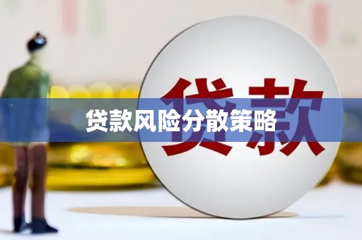 迪庆贷款风险分散策略