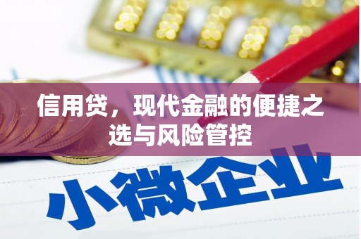 迪庆信用贷，现代金融的便捷之选与风险管控