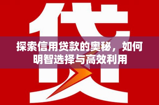 迪庆探索信用贷款的奥秘，如何明智选择与高效利用