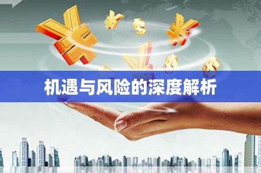 迪庆机遇与风险的深度解析