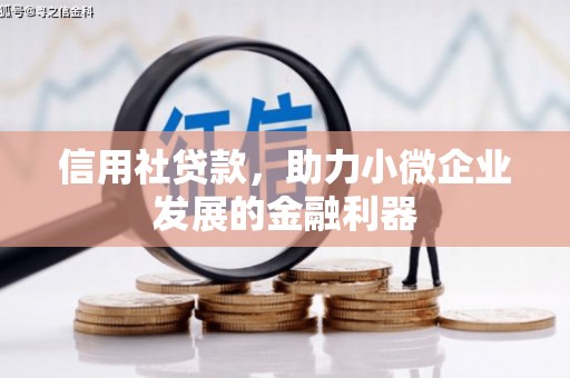 迪庆信用社贷款，助力小微企业发展的金融利器