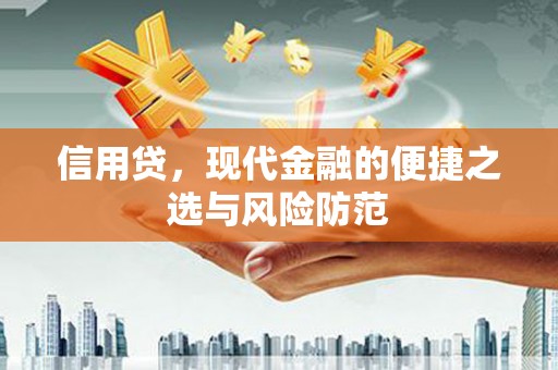 迪庆信用贷，现代金融的便捷之选与风险防范