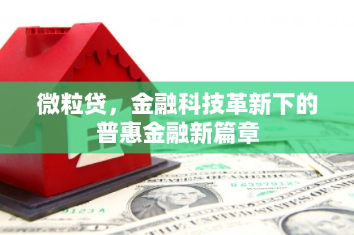 迪庆微粒贷，金融科技革新下的普惠金融新篇章