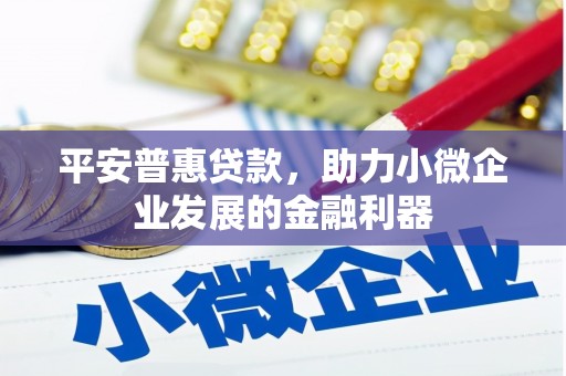 迪庆平安普惠贷款，助力小微企业发展的金融利器