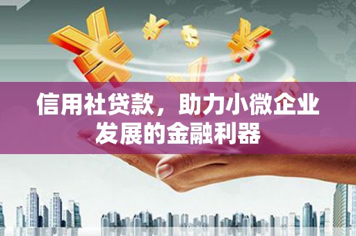 迪庆信用社贷款，助力小微企业发展的金融利器