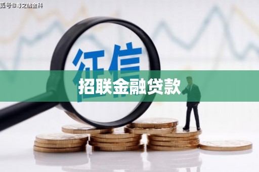 迪庆招联金融贷款