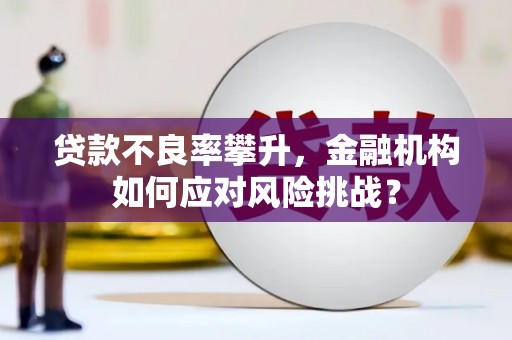 迪庆贷款不良率攀升，金融机构如何应对风险挑战？