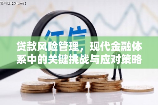 迪庆贷款风险管理，现代金融体系中的关键挑战与应对策略