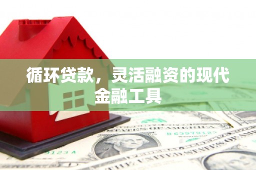 迪庆循环贷款，灵活融资的现代金融工具