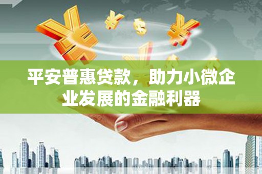 迪庆平安普惠贷款，助力小微企业发展的金融利器