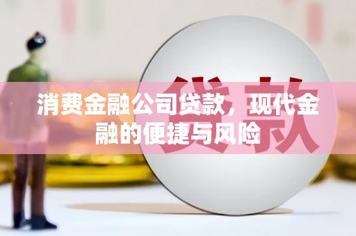迪庆消费金融公司贷款，现代金融的便捷与风险