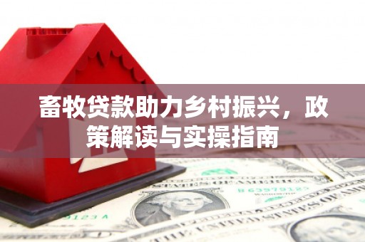 迪庆畜牧贷款助力乡村振兴，政策解读与实操指南