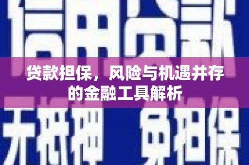 迪庆贷款担保，风险与机遇并存的金融工具解析