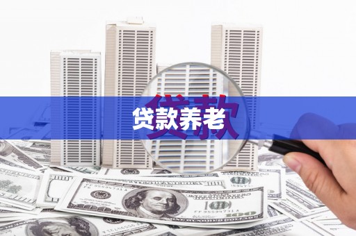 迪庆贷款养老