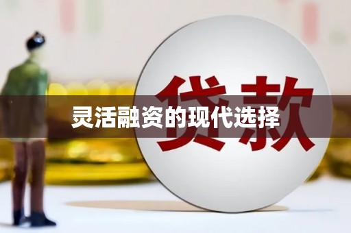 迪庆灵活融资的现代选择