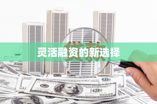 迪庆灵活融资的新选择