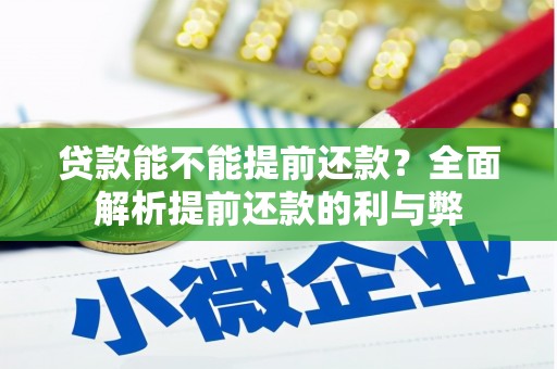 迪庆贷款能不能提前还款？全面解析提前还款的利与弊