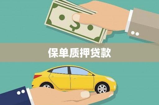 迪庆保单质押贷款
