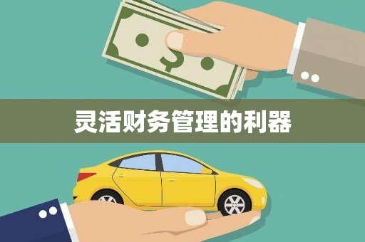迪庆灵活财务管理的利器