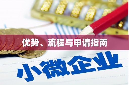 迪庆优势、流程与申请指南